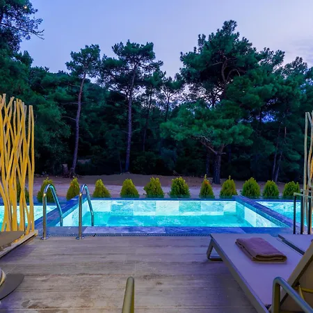 Palmera Pachis Private Pool Villa *